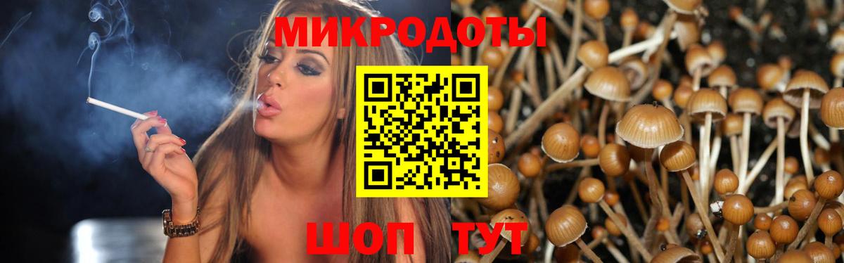 Псилоцибиновые грибы мицелий Жигулёвск